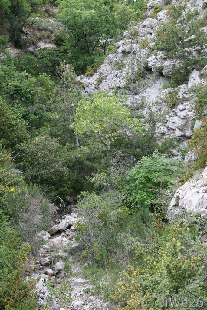 Un beau coin de nature