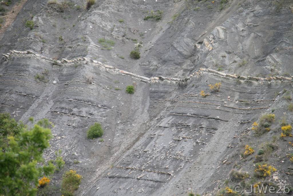 Colline ravinée de marne bleue