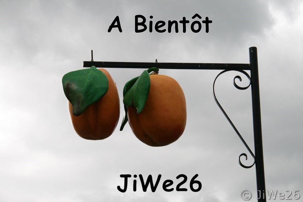 Bellecombe-Tarendol_Au pays de l'abricot