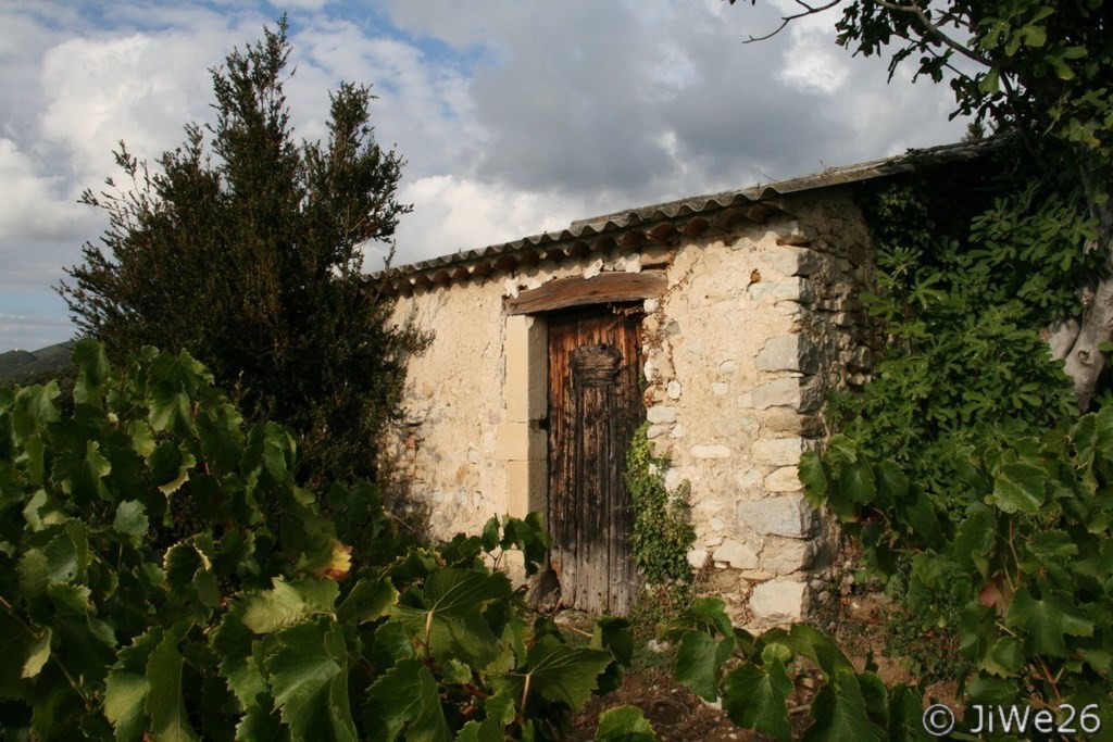 Cabanon dans les vignes