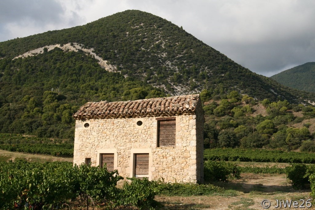 Cabanon dans les vignes