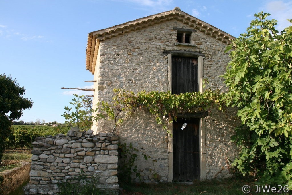 Cabanon dans les vignes