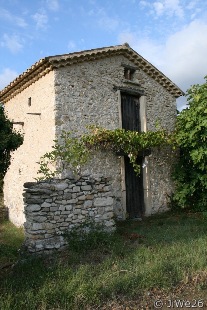 Cabanon dans les vignes