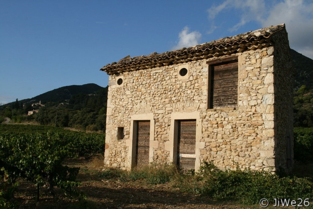 Cabanon dans les vignes