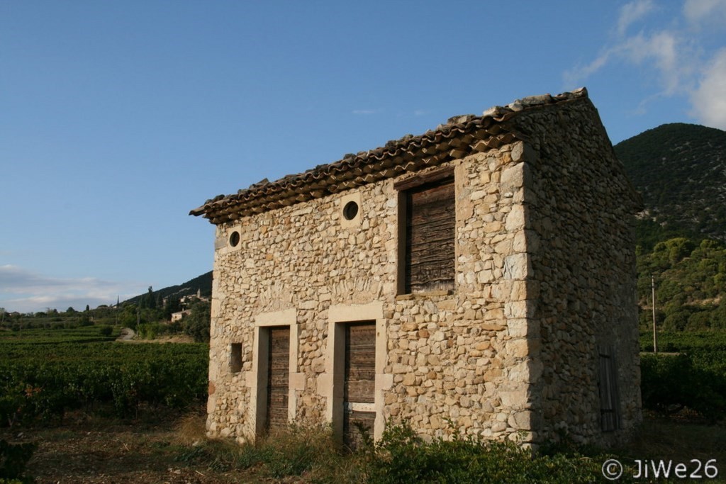 Cabanon dans les vignes