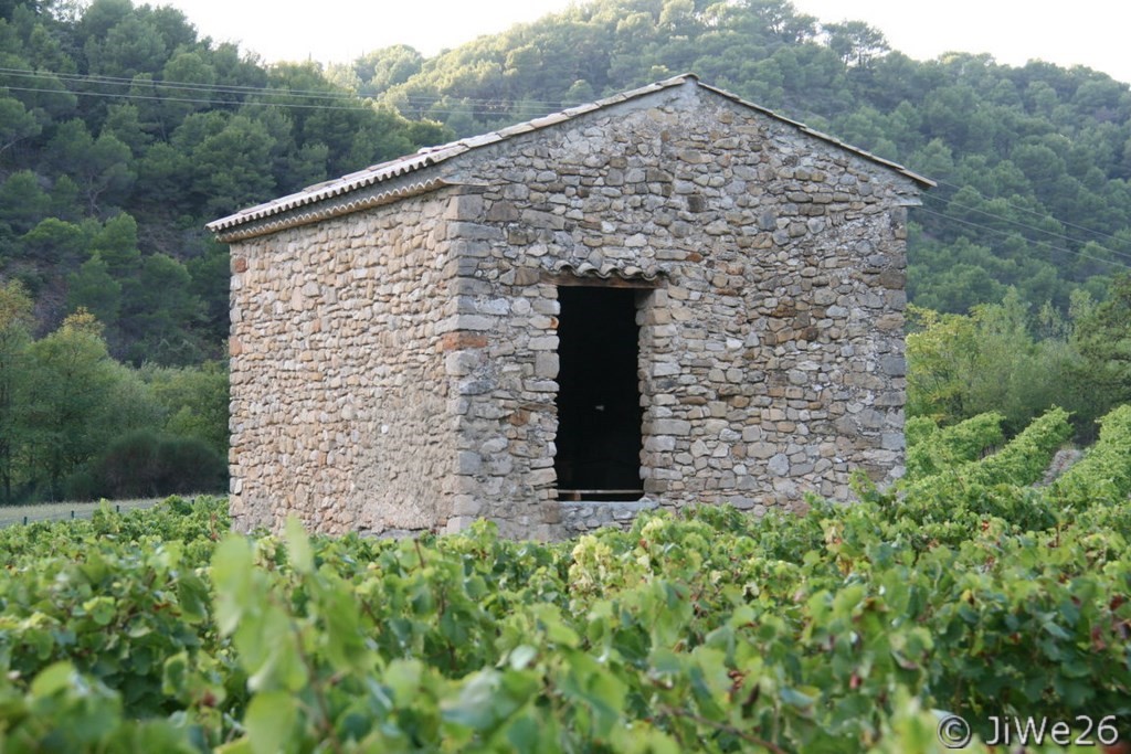 Cabanon dans les vignes