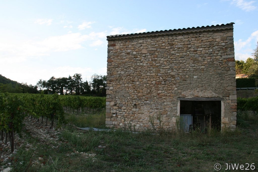 Cabanon dans les vignes
