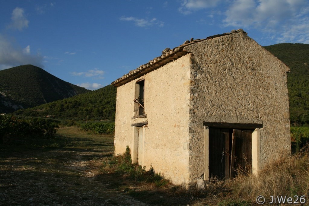 Cabanon dans les vignes