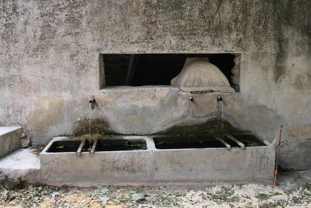 La fontaine-abreuvoir