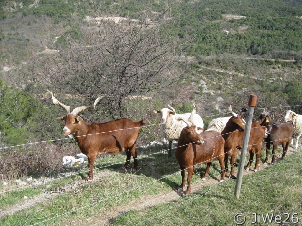 Quelques membres du service d'entretien de la zone naturelle