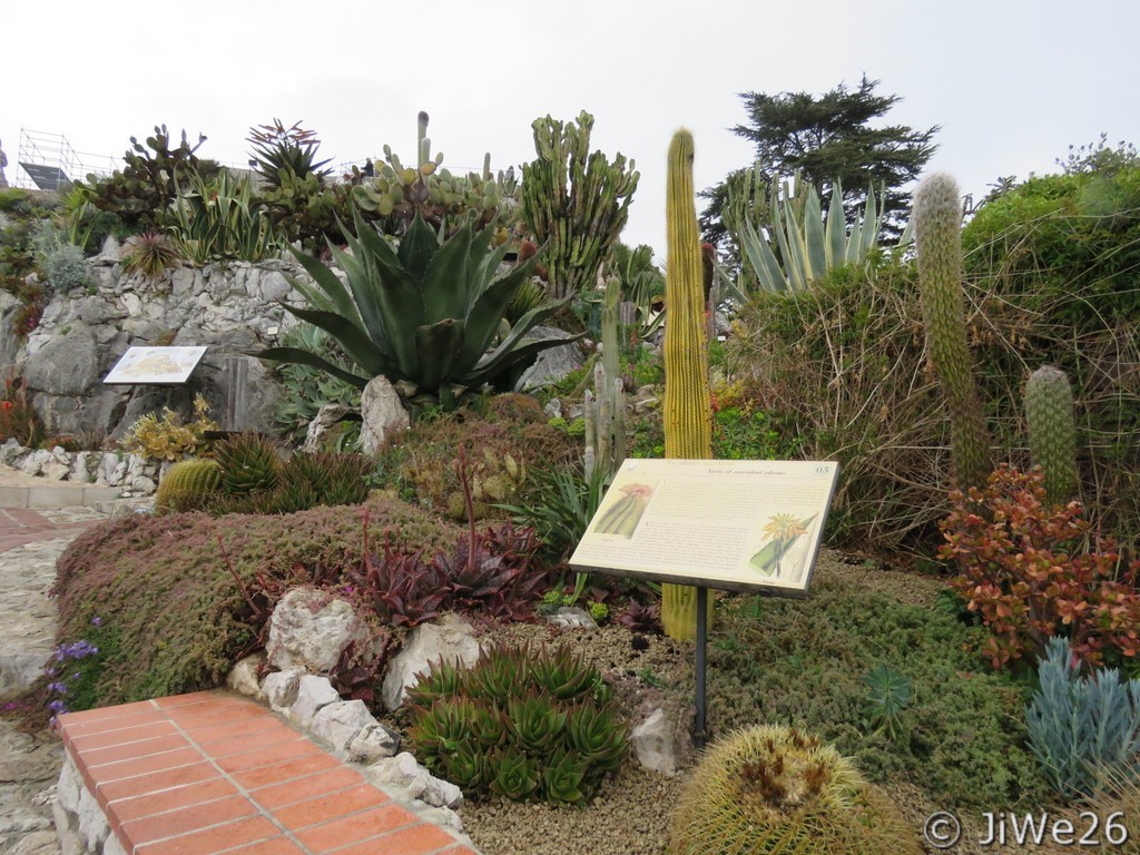 Il abrite plus de 400 plantes grasses, cactus et autres espèces rares ​méditerranéennes