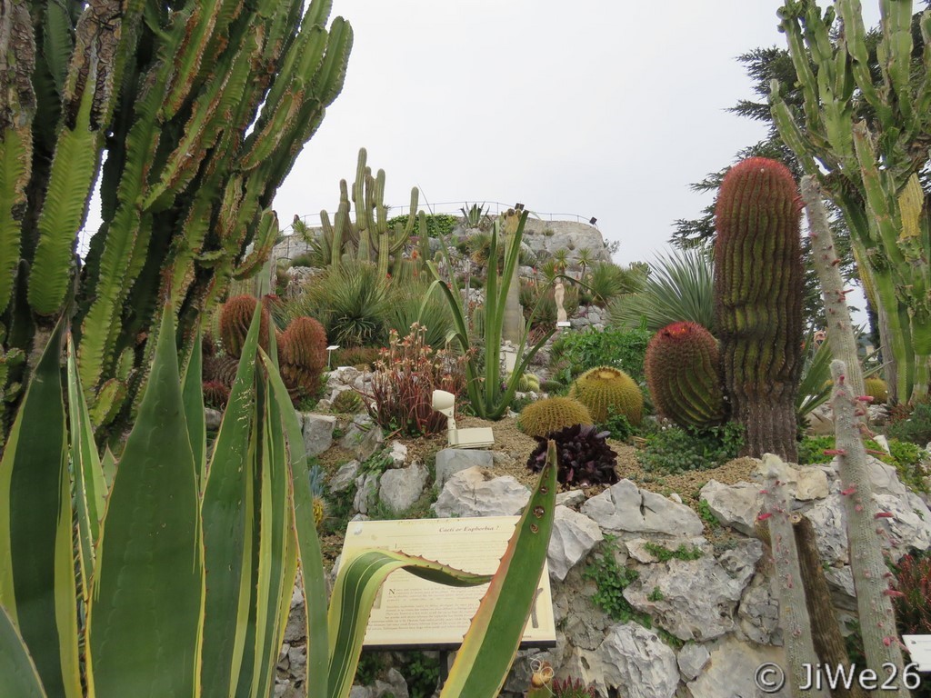 Le jardin botanique exotique de Eze