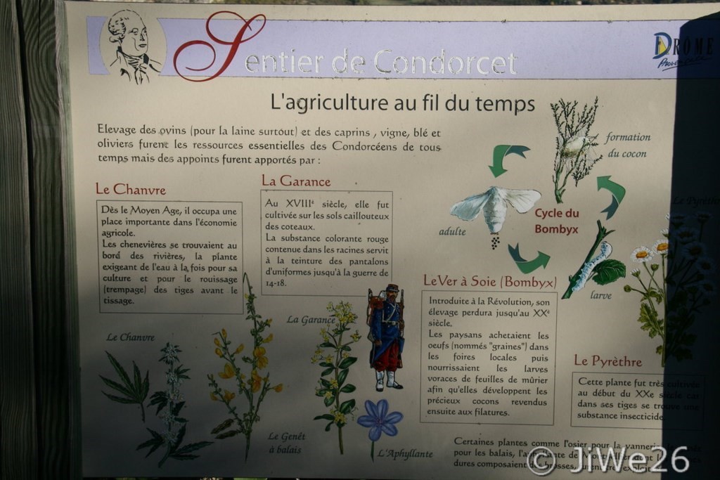 Autre panneau didactique par lequel on apprend de quoi vivaient les habitants