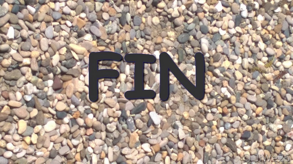 Fin