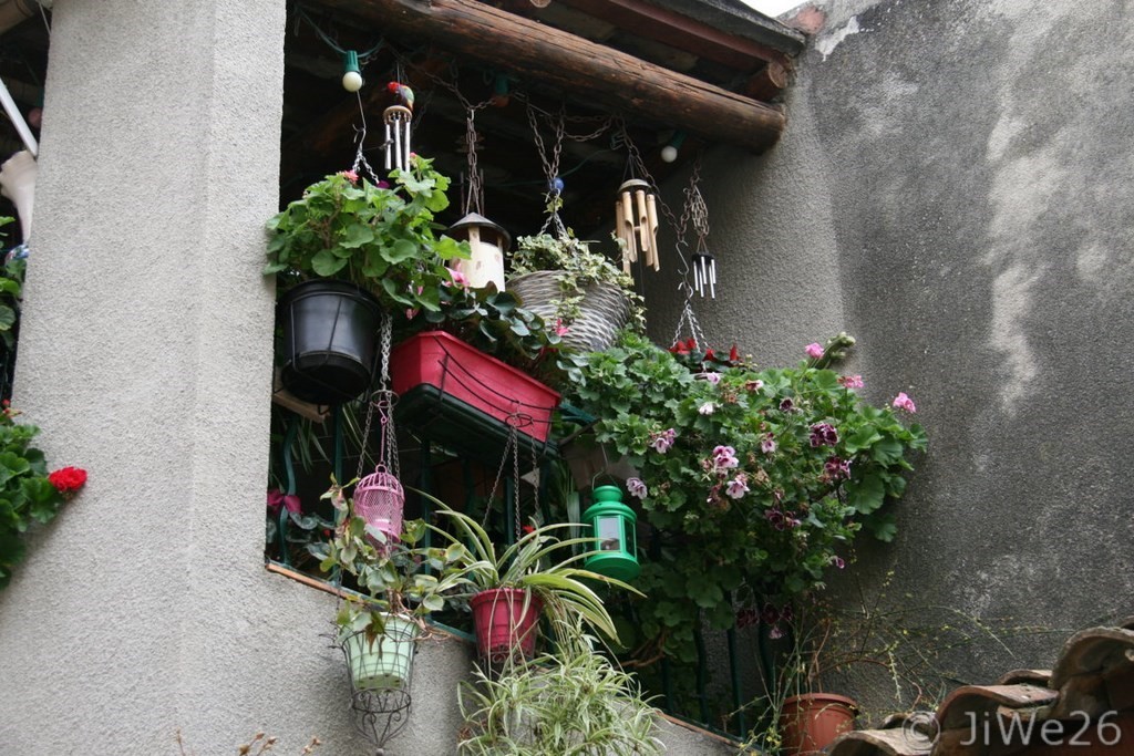 Il y a des fleurs partout
