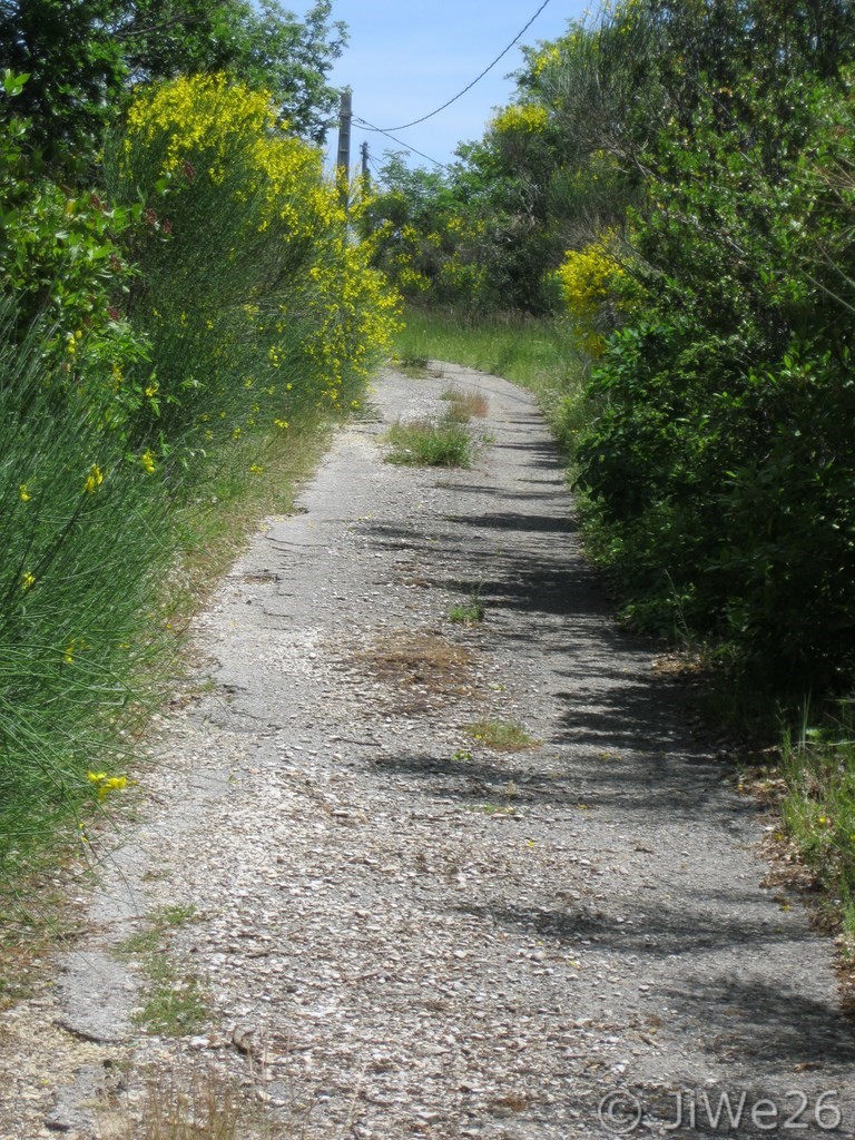 Au détour d'un chemin