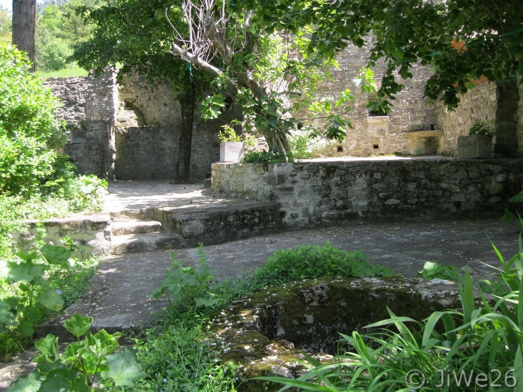 Beau coin paisible ombragé