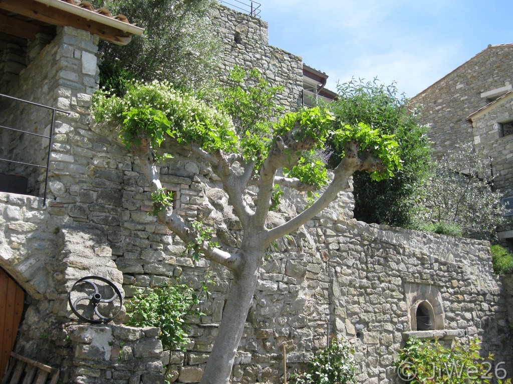 Maison sous le beffroi