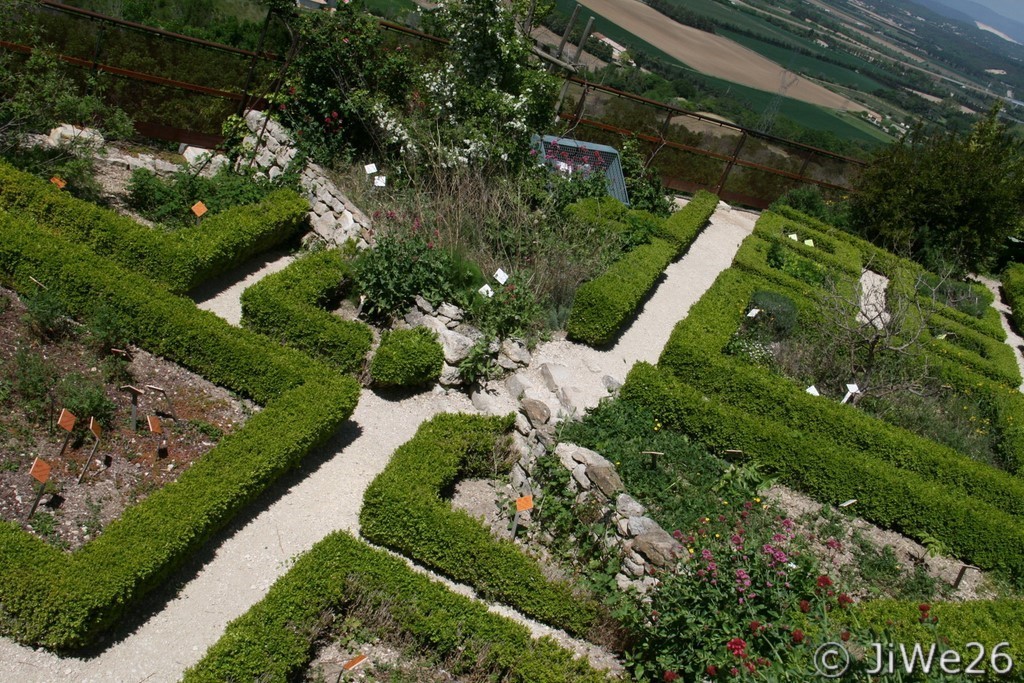 On y trouve plus de 200 plantes médicinales 