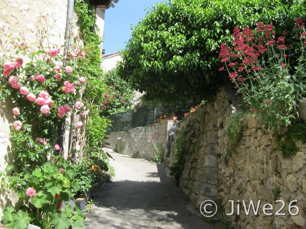 Toutes plus belles les unes ...