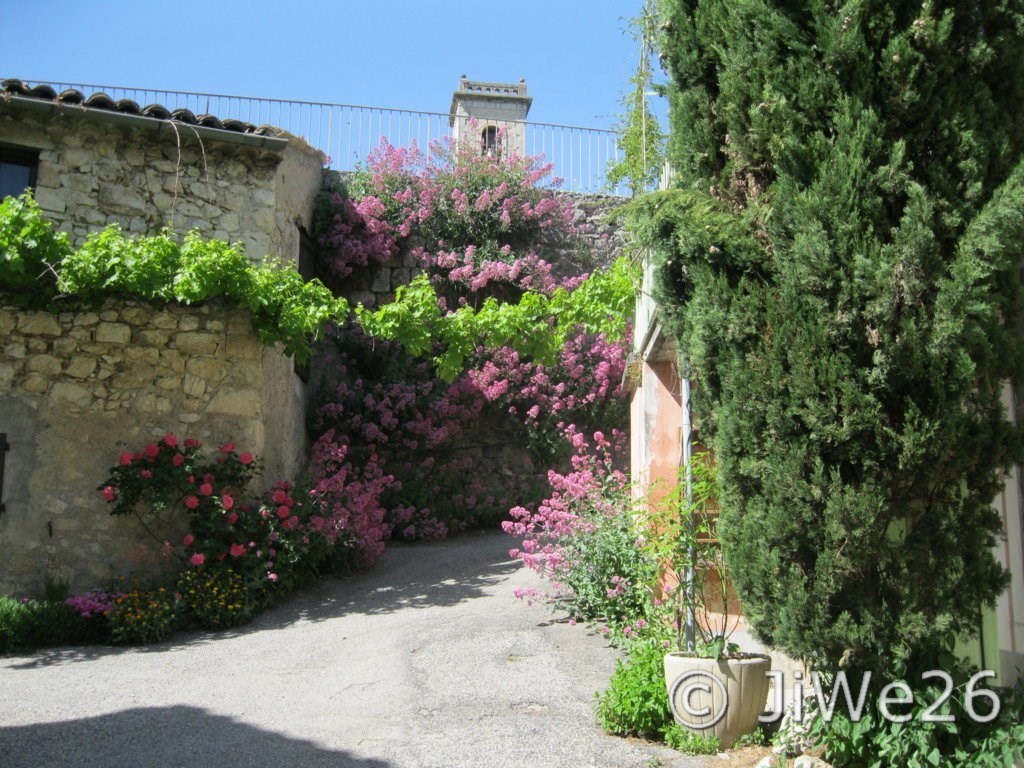 Le clocher de l'église surplombant les murs débordant de fleurs