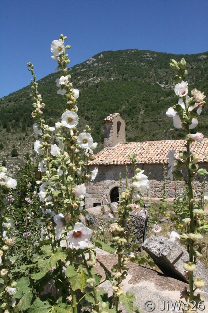 En reprenant les paroles de Jean Ferrat, on pourrait dire de la Montagne de Buisseron (1269m) "Que la montagne est belle !"