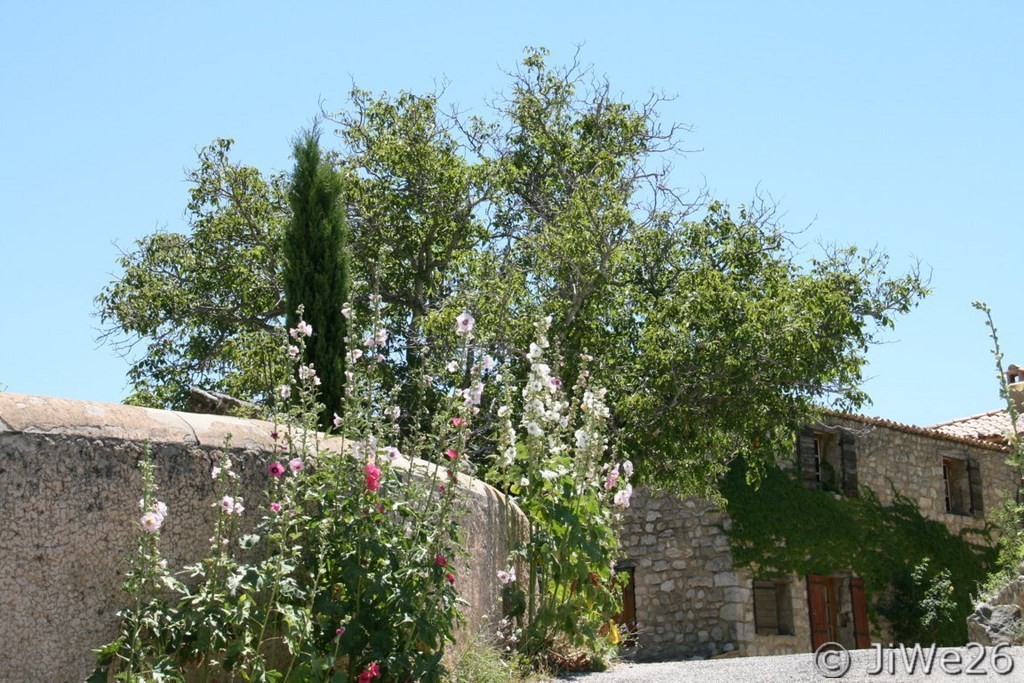 Nous y avons passé beaucoup de temps car cette église est magnifique et à la sortie, nous avons pu admirer ce splendide décor
