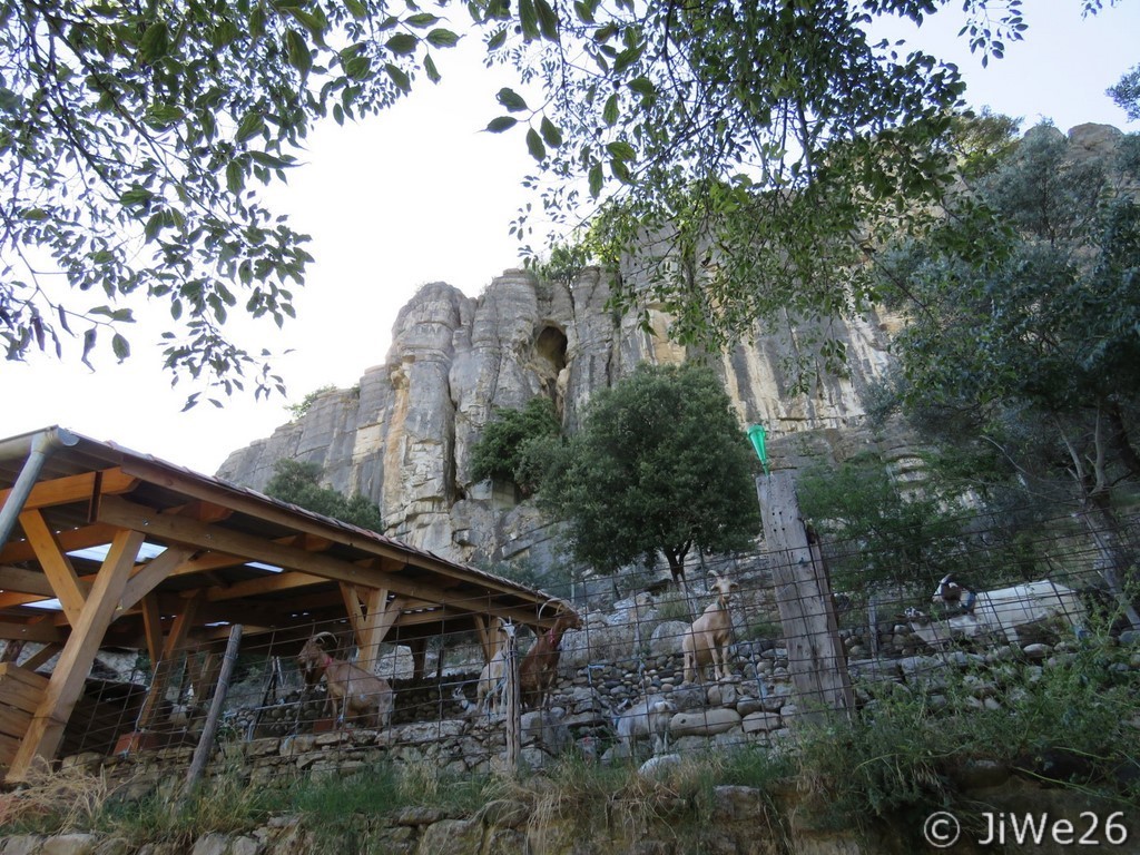 Petit domaine des chèvres