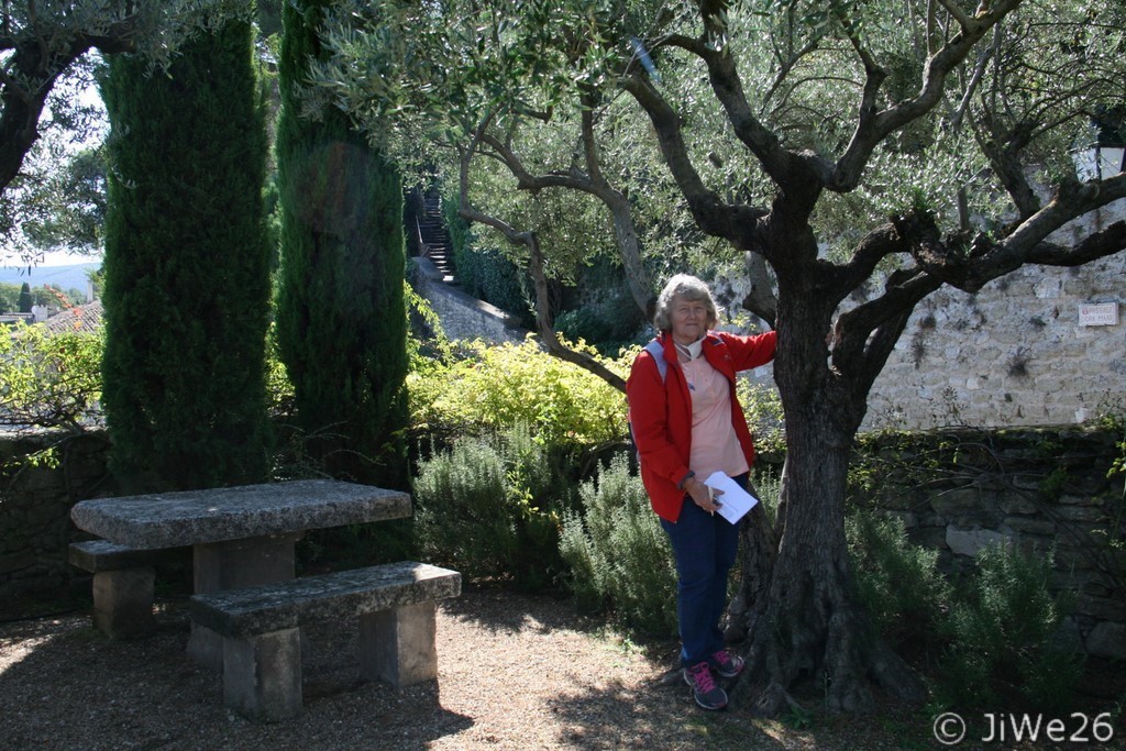 Au jardin parmi les arbres
