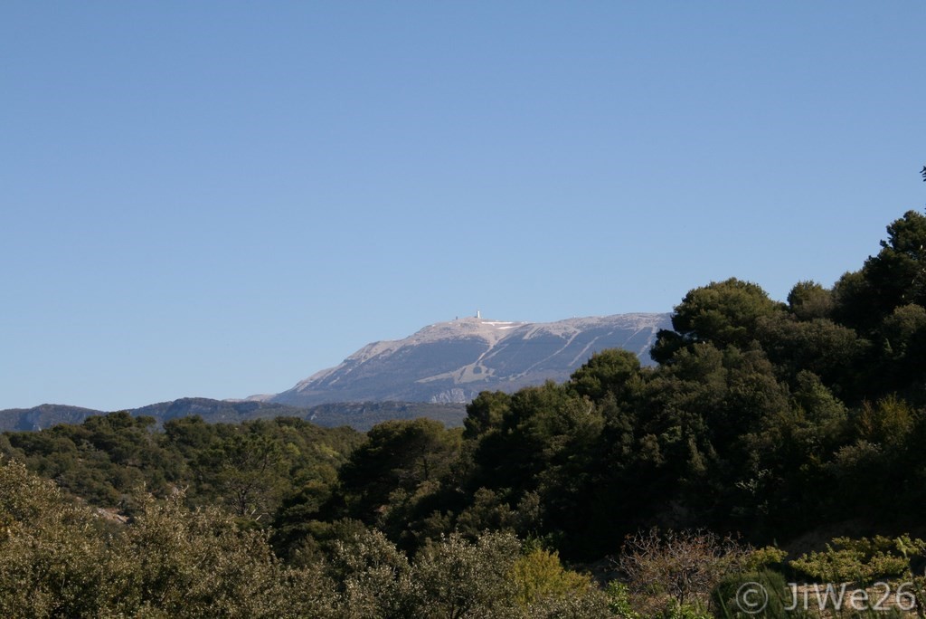 Mérindol-les-Oliviers_Dans le fond, le Mont Ventoux