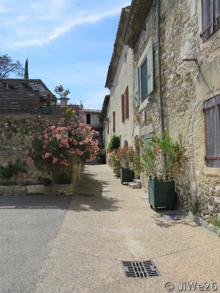 Il y a des fleurs partout et c'est très propre