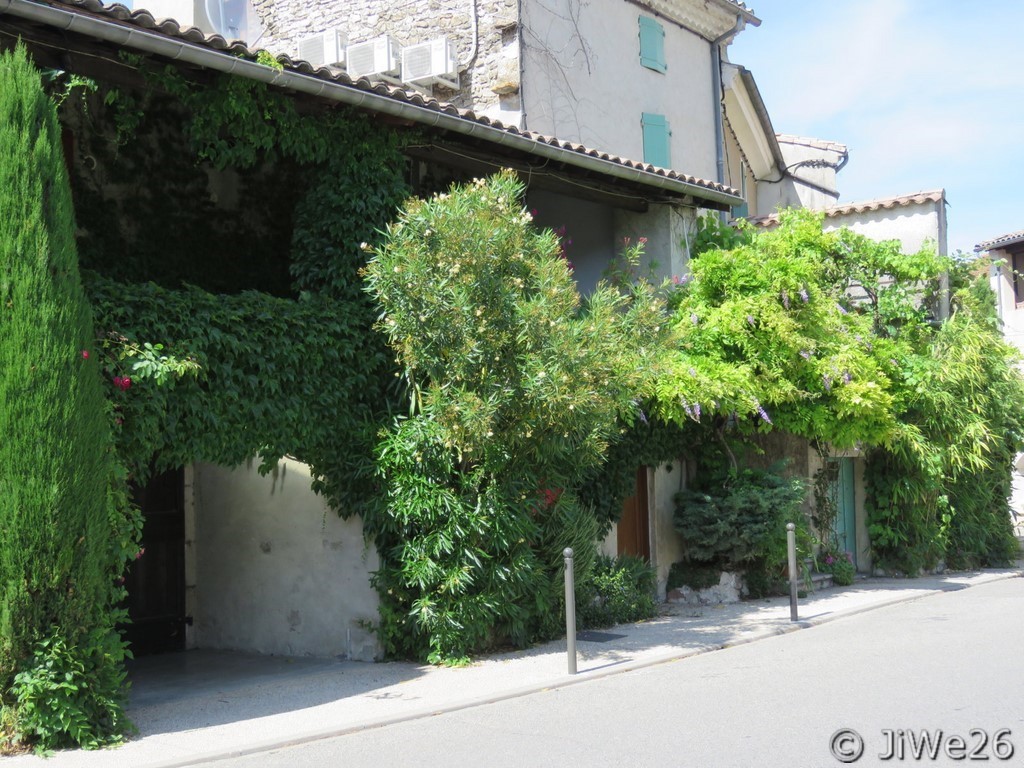 Cette façade est drôlement bien végétalisée