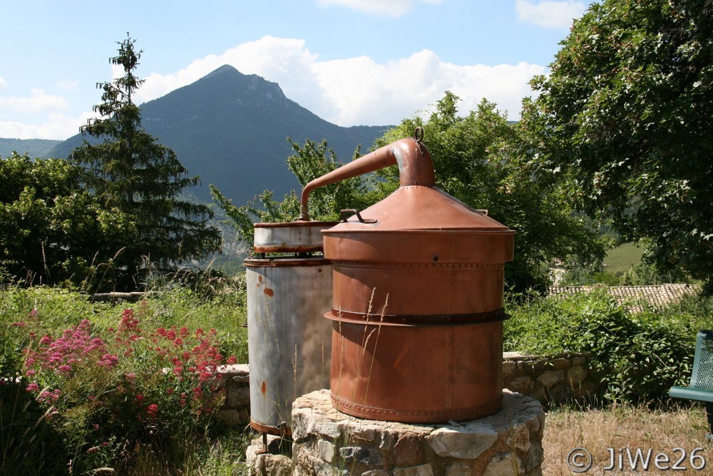 Situé près de l'église, ce vieil alambic a évidemment attiré mon regard