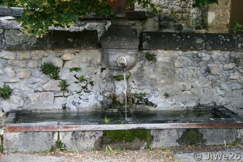 et magnifiquement fleurie