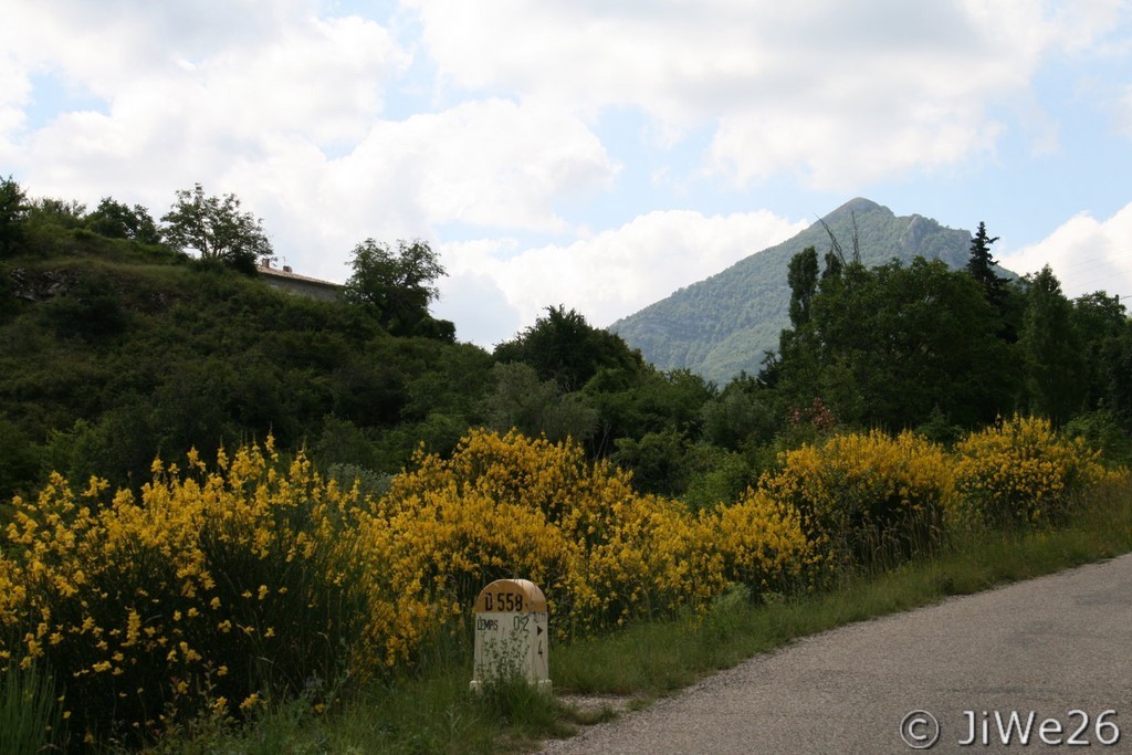Paysage enchanteur avec les genêts en fleurs et le soleil sur La Vanige