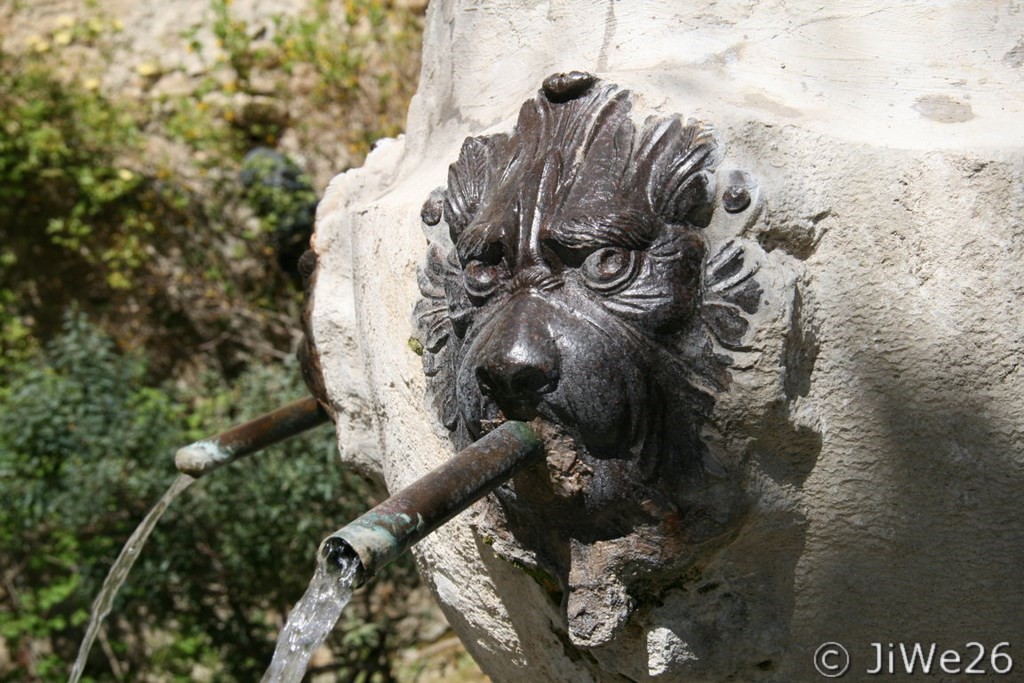 Détail gargouille métallique en tête de lion