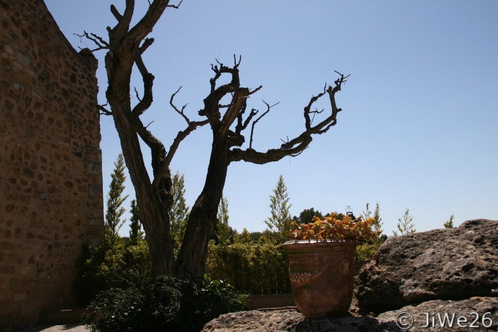 Sur la Place de l'église