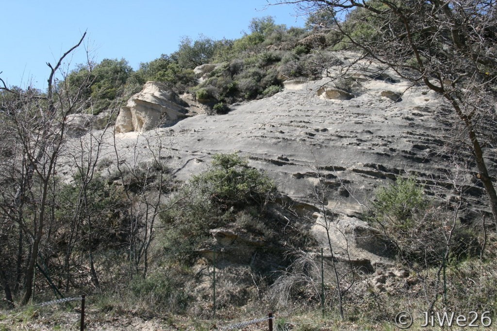 La nature nous offre parfois de véritables oeuvres d'art