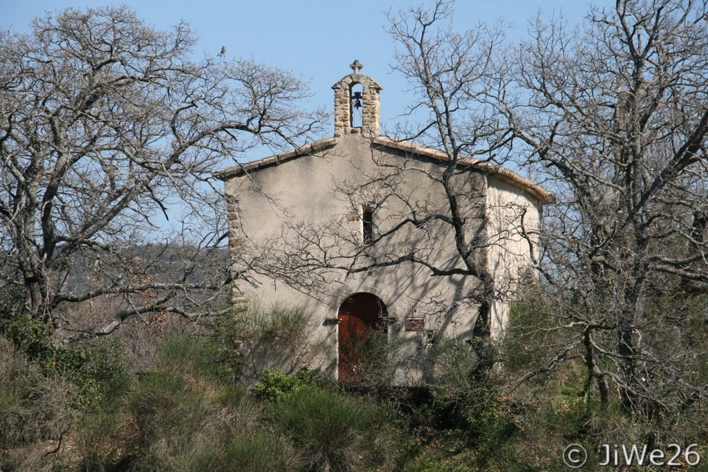 Elle est jolie encadrée par ces grands arbres