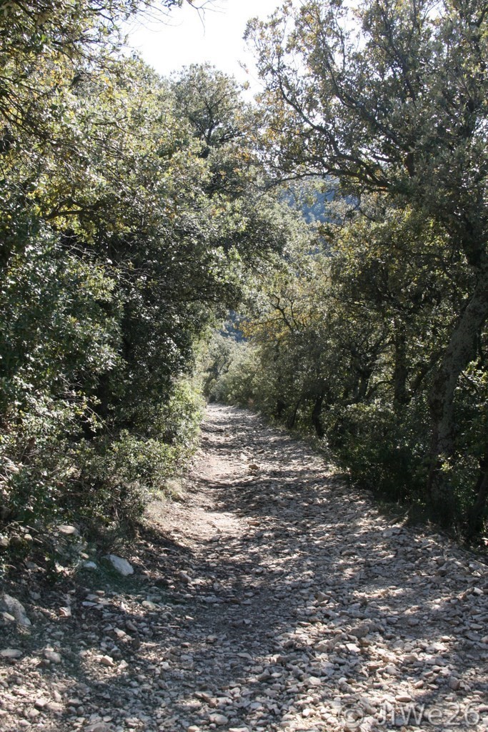 Heureusement, il y a un peu d'ombre