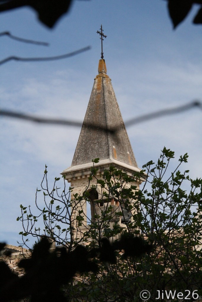 Son clocher à travers les buissons