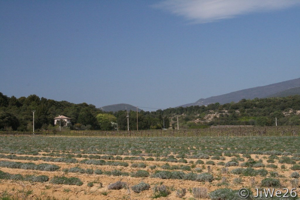 Entre lavande et vignobles, le village est bien entouré