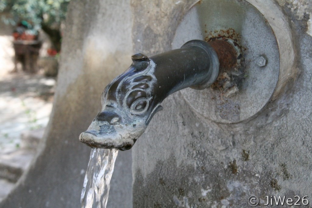 Détail de la gargouille en cuivre