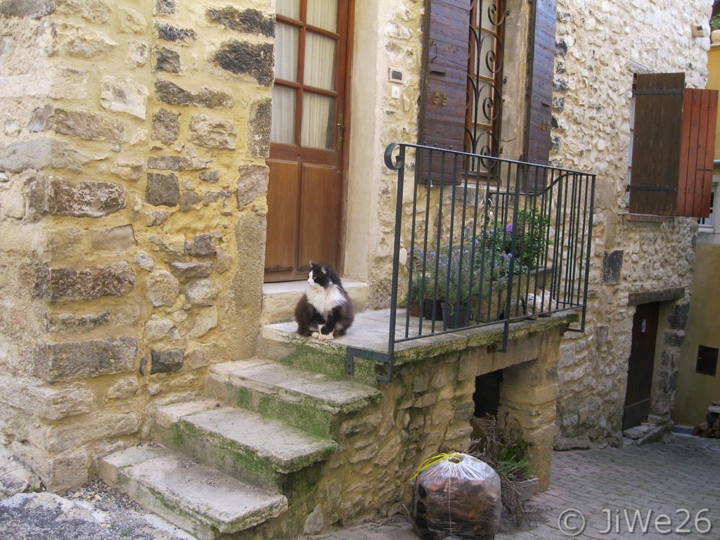 Je suis le gardien de cette jolie demeure