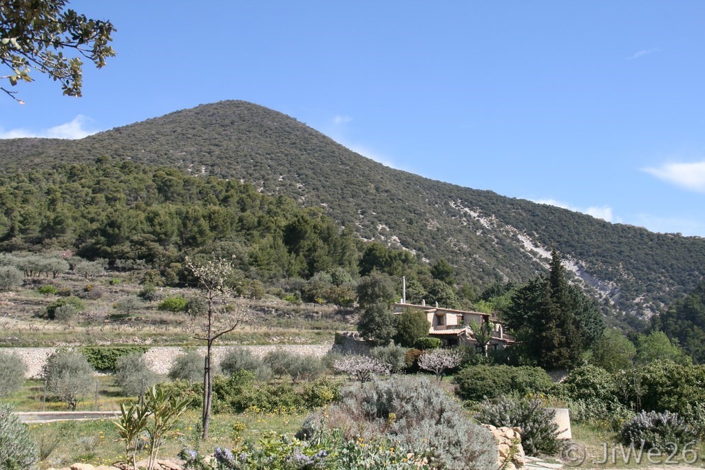 Vue sur une jolie demeure dans la nature