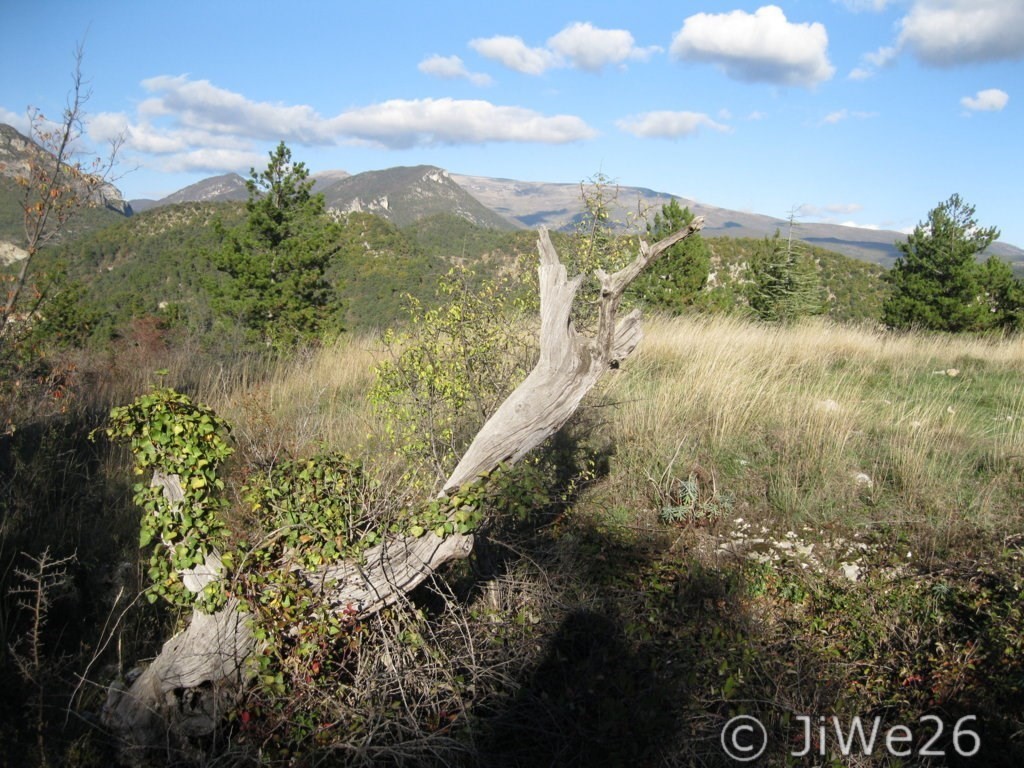Arrivés en haut, un plateau nous offre une superbe vue sur 360°