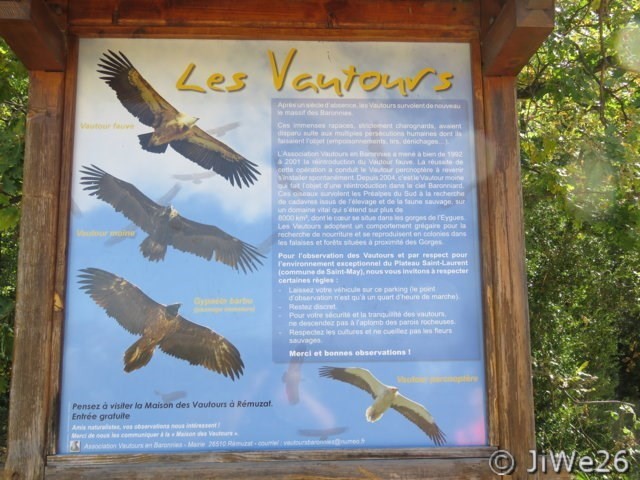 Nous arrivons au parking et consultons ce panneau didactique sur les vautours