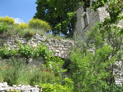 Parfois, le caractère sauvage de la nature reprend le dessus