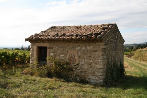 Cabanon dans les vignes