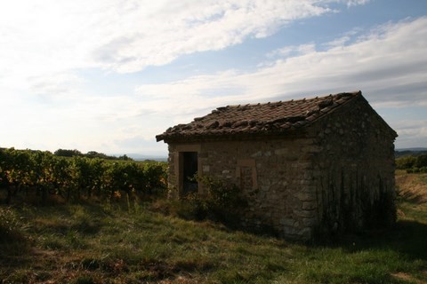Cabanon dans les vignes